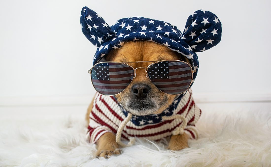 Promote Patriotic Products